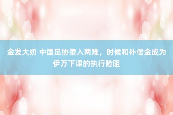 金发大奶 中国足协堕入两难，时候和补偿金成为伊万下课的执行险阻