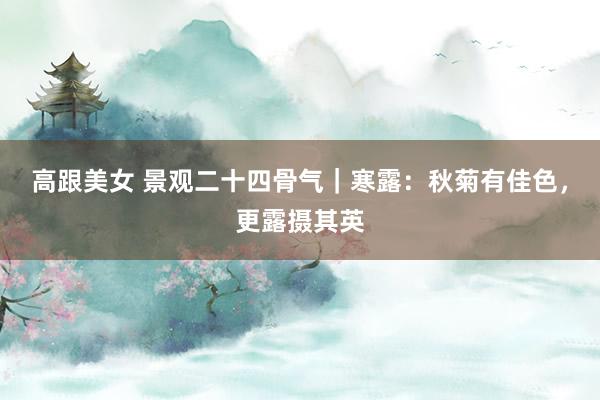 高跟美女 景观二十四骨气｜寒露：秋菊有佳色，更露摄其英