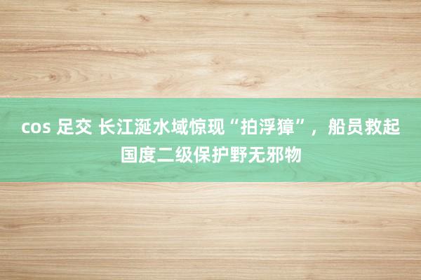 cos 足交 长江涎水域惊现“拍浮獐”，船员救起国度二级保护野无邪物