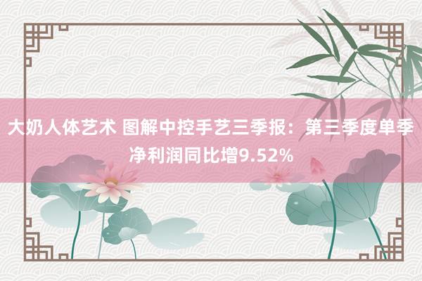 大奶人体艺术 图解中控手艺三季报:第三季度单季净利润同比增9.52%