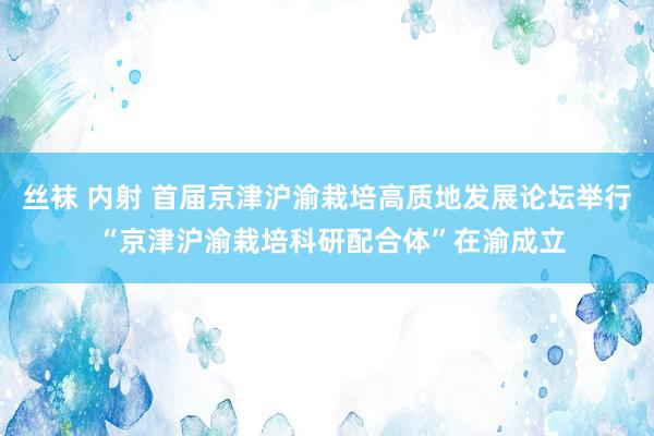 丝袜 内射 首届京津沪渝栽培高质地发展论坛举行 “京津沪渝栽培科研配合体”在渝成立
