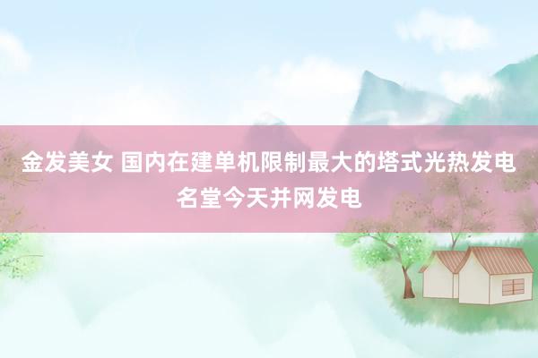 金发美女 国内在建单机限制最大的塔式光热发电名堂今天并网发电