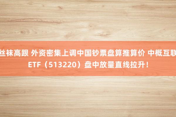 丝袜高跟 外资密集上调中国钞票盘算推算价 中概互联ETF（513220）盘中放量直线拉升！