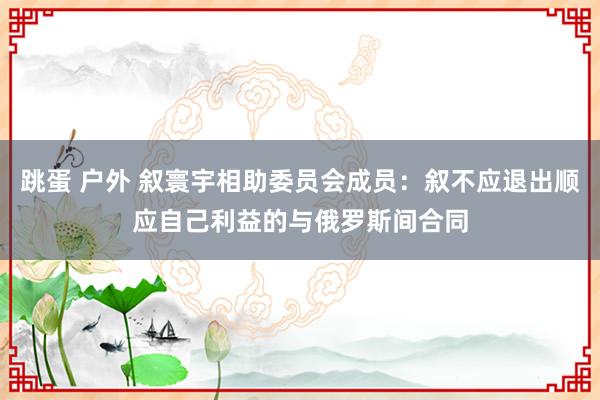 跳蛋 户外 叙寰宇相助委员会成员：叙不应退出顺应自己利益的与俄罗斯间合同