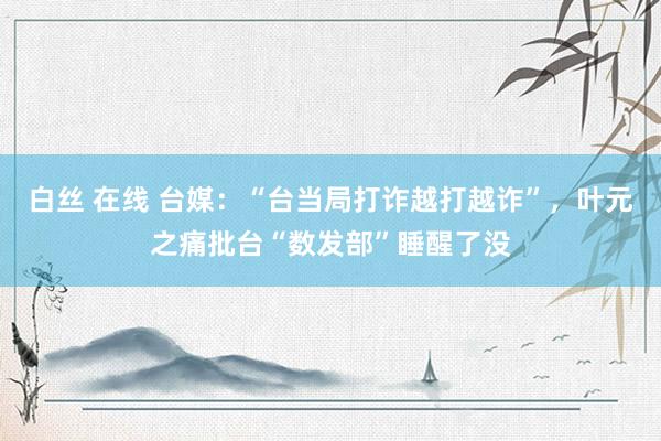 白丝 在线 台媒：“台当局打诈越打越诈”，叶元之痛批台“数发部”睡醒了没