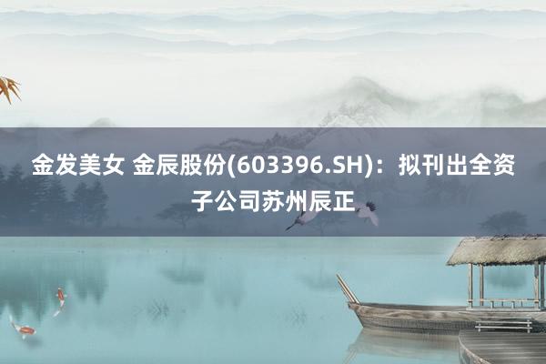 金发美女 金辰股份(603396.SH)：拟刊出全资子公司苏州辰正