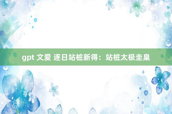 gpt 文爱 逐日站桩新得：站桩太极圭臬