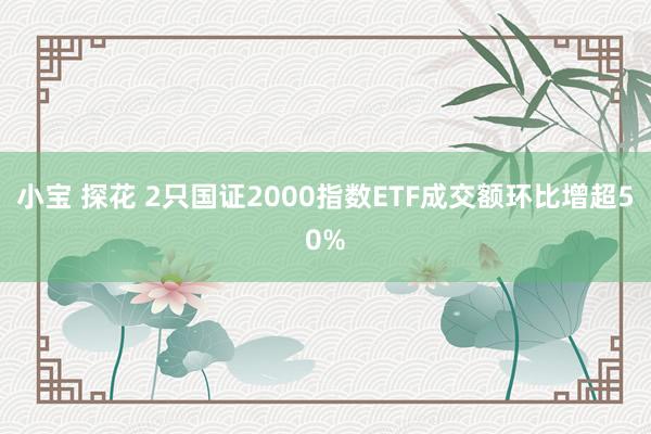 小宝 探花 2只国证2000指数ETF成交额环比增超50%