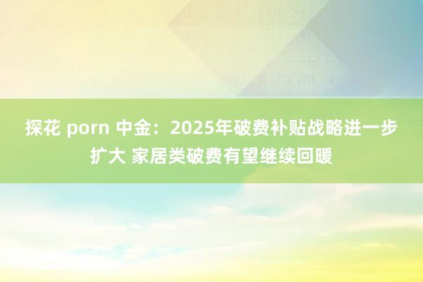 探花 porn 中金：2025年破费补贴战略进一步扩大 家居类破费有望继续回暖
