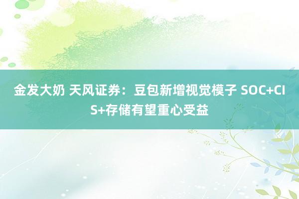 金发大奶 天风证券：豆包新增视觉模子 SOC+CIS+存储有望重心受益