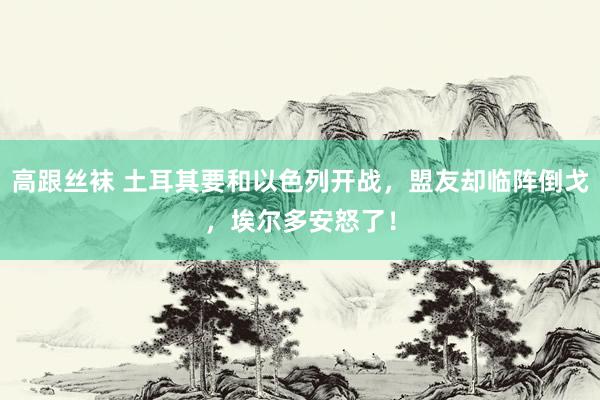 高跟丝袜 土耳其要和以色列开战，盟友却临阵倒戈，埃尔多安怒了！