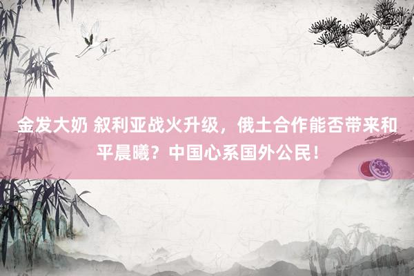 金发大奶 叙利亚战火升级，俄土合作能否带来和平晨曦？中国心系国外公民！