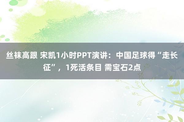 丝袜高跟 宋凯1小时PPT演讲：中国足球得“走长征”，1死活条目 需宝石2点