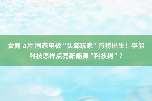 女同 a片 固态电板“头部玩家”行将出生！孚能科技怎样点亮新能源“科技树”？