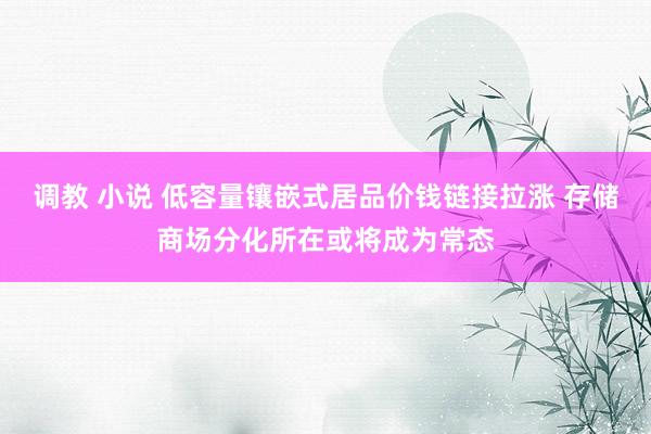 调教 小说 低容量镶嵌式居品价钱链接拉涨 存储商场分化所在或将成为常态