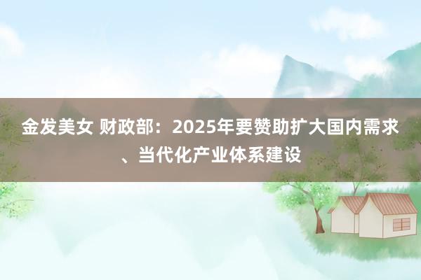 金发美女 财政部：2025年要赞助扩大国内需求、当代化产业体系建设