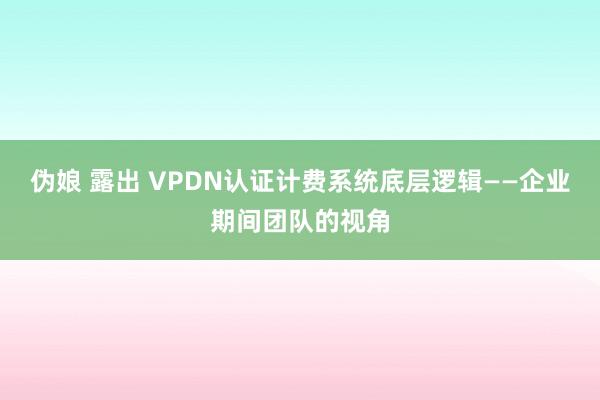 伪娘 露出 VPDN认证计费系统底层逻辑——企业期间团队的视角