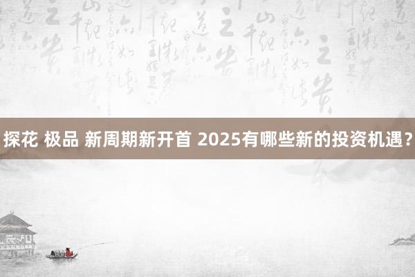 探花 极品 新周期新开首 2025有哪些新的投资机遇？