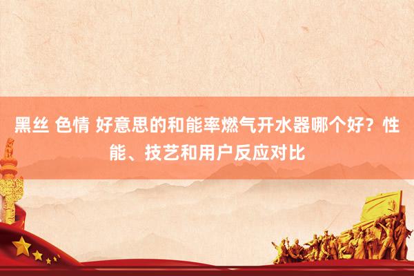 黑丝 色情 好意思的和能率燃气开水器哪个好？性能、技艺和用户反应对比