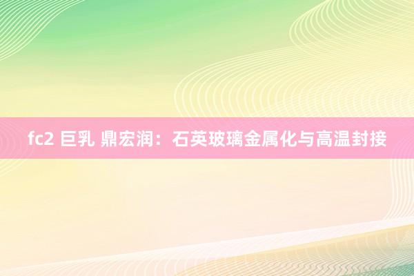 fc2 巨乳 鼎宏润：石英玻璃金属化与高温封接