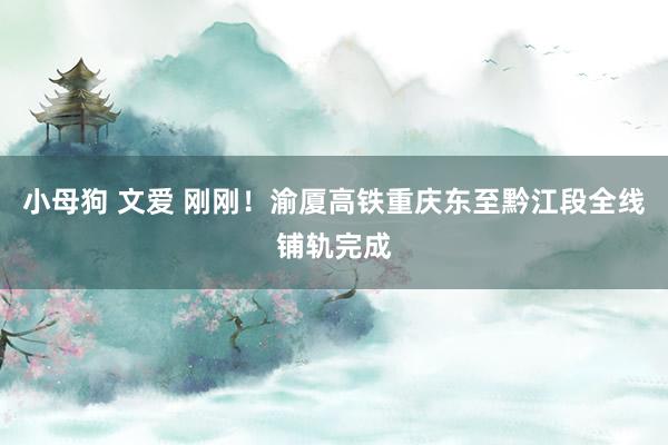 小母狗 文爱 刚刚！渝厦高铁重庆东至黔江段全线铺轨完成