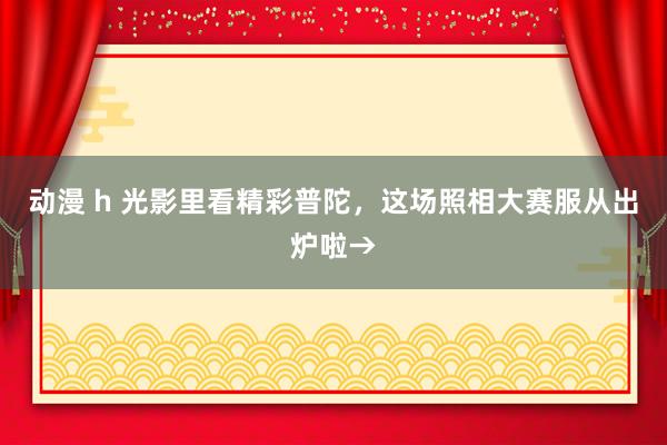 动漫 h 光影里看精彩普陀，这场照相大赛服从出炉啦→
