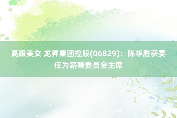 高跟美女 龙昇集团控股(06829)：陈华胜获委任为薪酬委员会主席