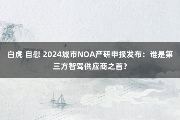白虎 自慰 2024城市NOA产研申报发布：谁是第三方智驾供应商之首？