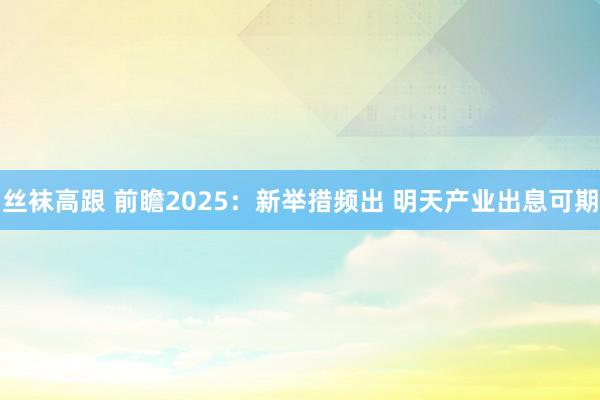 丝袜高跟 前瞻2025：新举措频出 明天产业出息可期