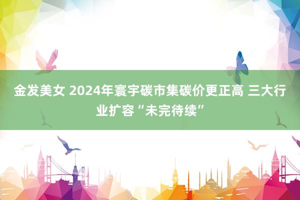 金发美女 2024年寰宇碳市集碳价更正高 三大行业扩容“未完待续”
