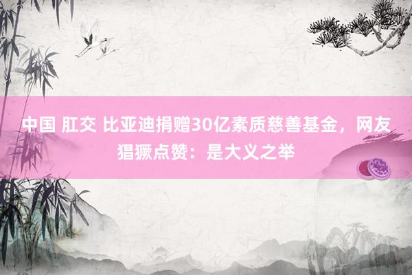 中国 肛交 比亚迪捐赠30亿素质慈善基金，网友猖獗点赞：是大义之举