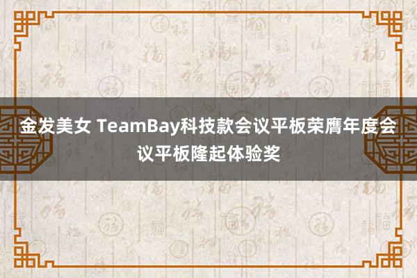 金发美女 TeamBay科技款会议平板荣膺年度会议平板隆起体验奖
