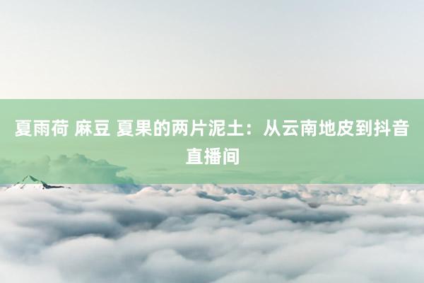 夏雨荷 麻豆 夏果的两片泥土：从云南地皮到抖音直播间