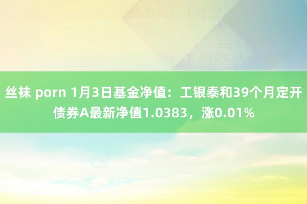 丝袜 porn 1月3日基金净值：工银泰和39个月定开债券A最新净值1.0383，涨0.01%
