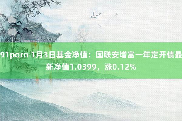 91porn 1月3日基金净值：国联安增富一年定开债最新净值1.0399，涨0.12%