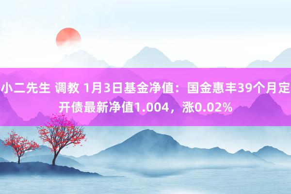 小二先生 调教 1月3日基金净值：国金惠丰39个月定开债最新净值1.004，涨0.02%