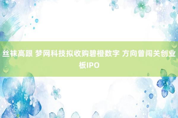 丝袜高跟 梦网科技拟收购碧橙数字 方向曾闯关创业板IPO
