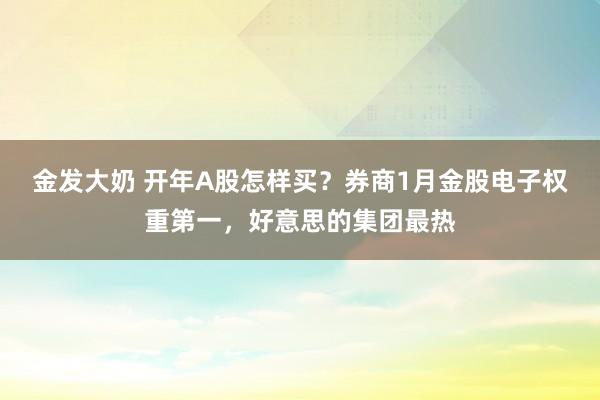 金发大奶 开年A股怎样买？券商1月金股电子权重第一，好意思的集团最热