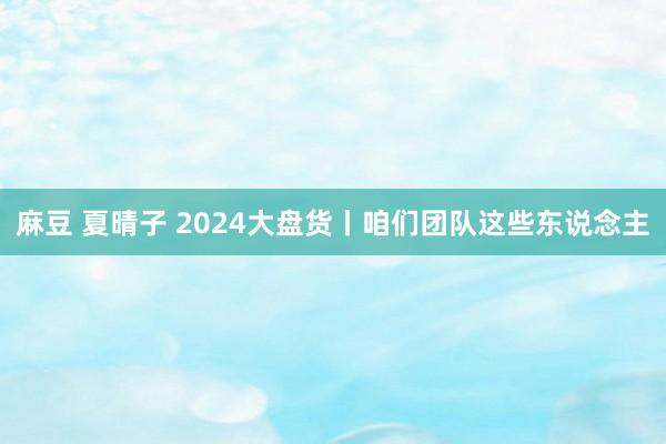 麻豆 夏晴子 2024大盘货丨咱们团队这些东说念主