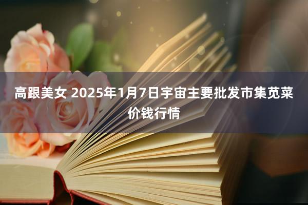 高跟美女 2025年1月7日宇宙主要批发市集苋菜价钱行情