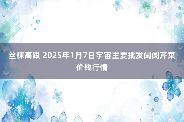 丝袜高跟 2025年1月7日宇宙主要批发阛阓芹菜价钱行情