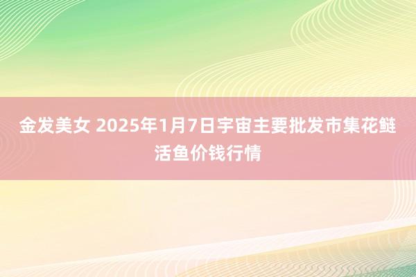 金发美女 2025年1月7日宇宙主要批发市集花鲢活鱼价钱行情