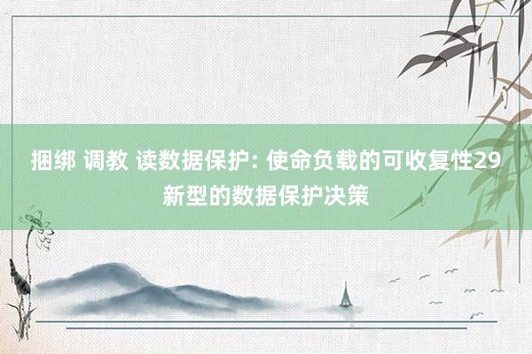 捆绑 调教 读数据保护: 使命负载的可收复性29新型的数据保护决策