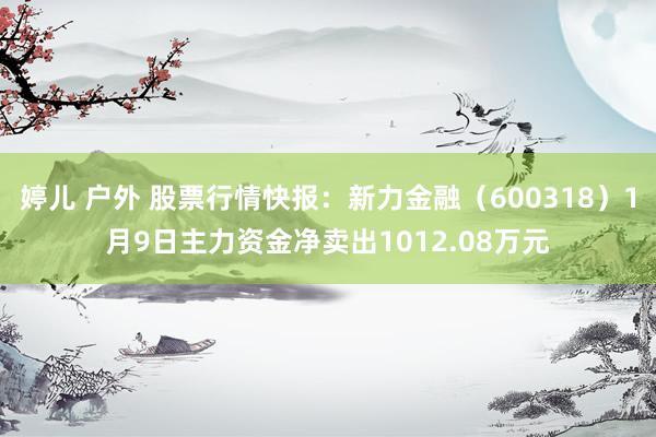 婷儿 户外 股票行情快报：新力金融（600318）1月9日主力资金净卖出1012.08万元