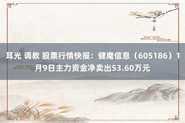 耳光 调教 股票行情快报：健麾信息（605186）1月9日主力资金净卖出53.60万元