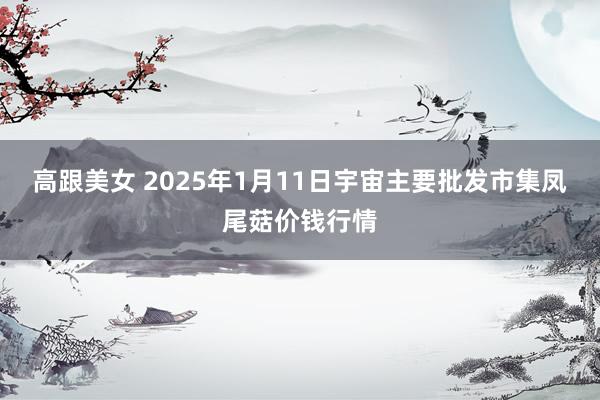 高跟美女 2025年1月11日宇宙主要批发市集凤尾菇价钱行情