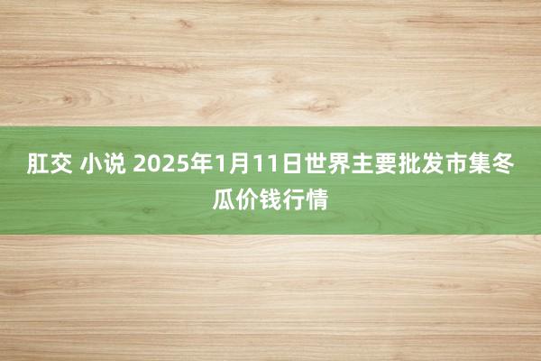 肛交 小说 2025年1月11日世界主要批发市集冬瓜价钱行情