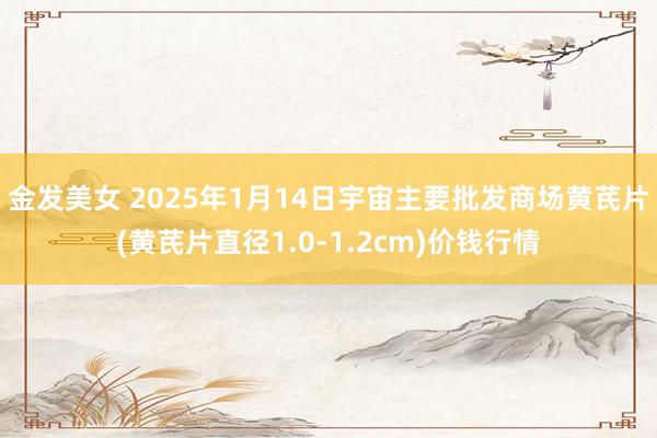 金发美女 2025年1月14日宇宙主要批发商场黄芪片(黄芪片直径1.0-1.2cm)价钱行情