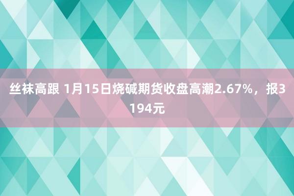 丝袜高跟 1月15日烧碱期货收盘高潮2.67%，报3194元
