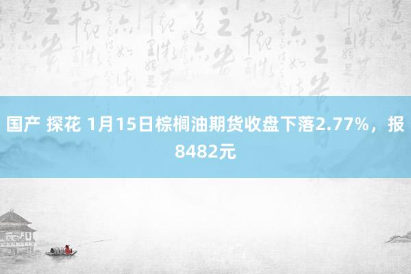 国产 探花 1月15日棕榈油期货收盘下落2.77%，报8482元